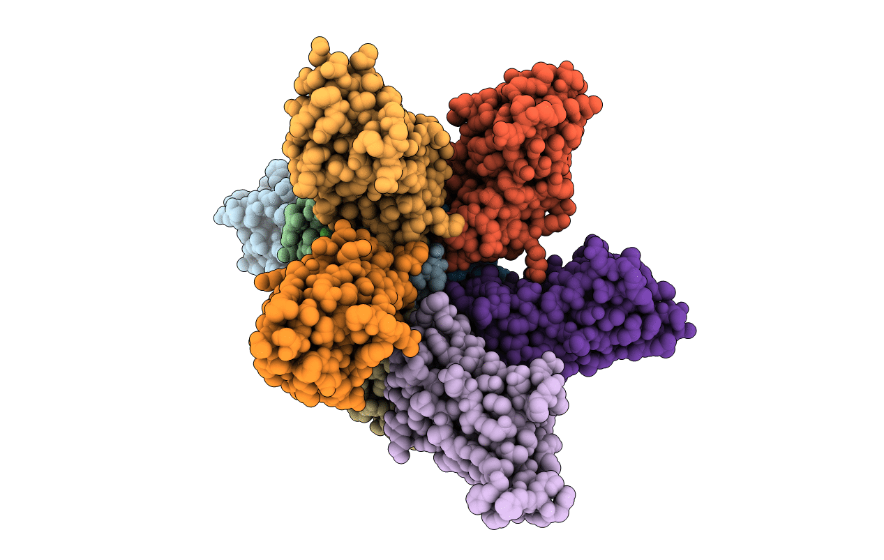4P2C image