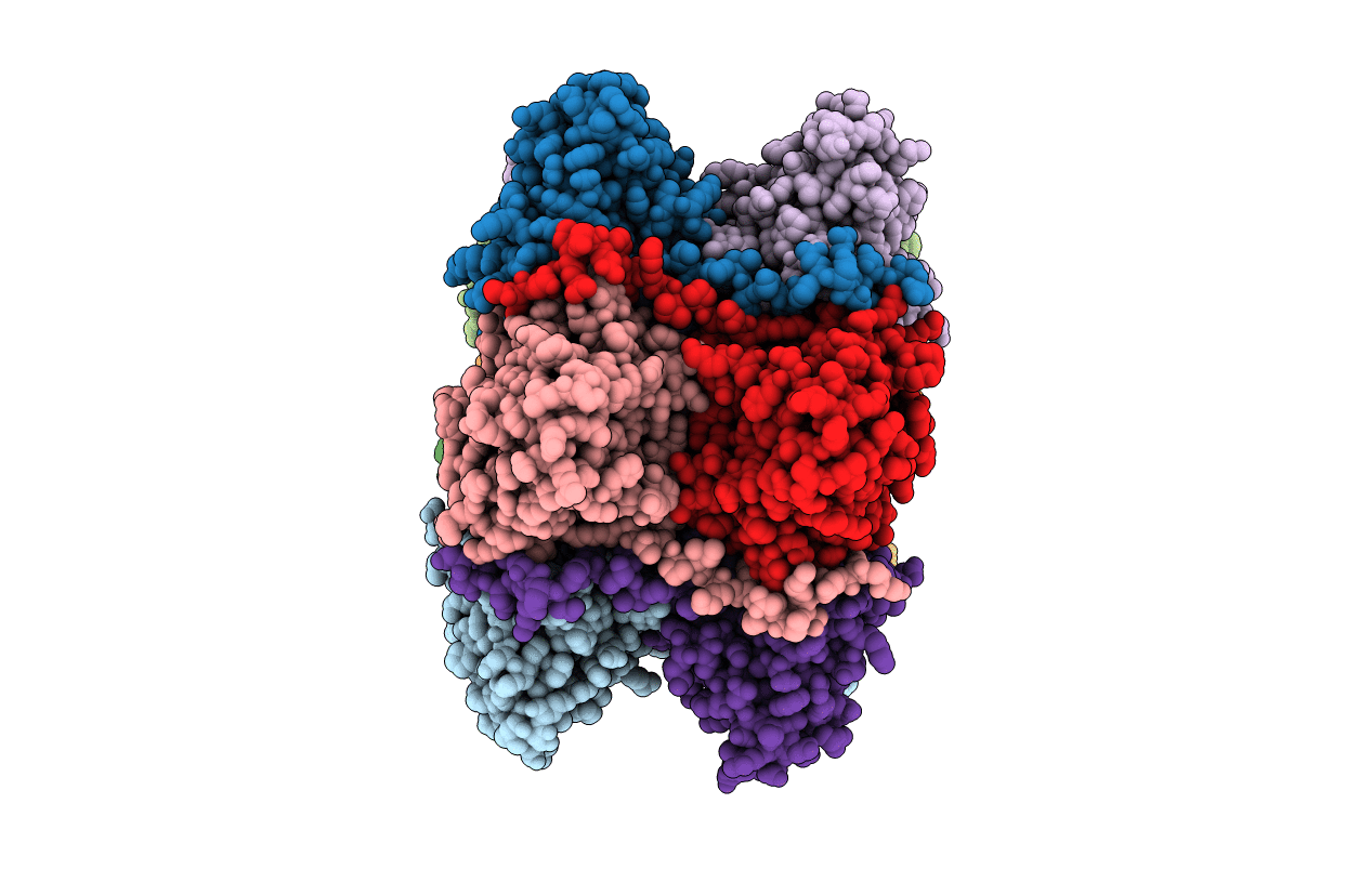 4P2V image