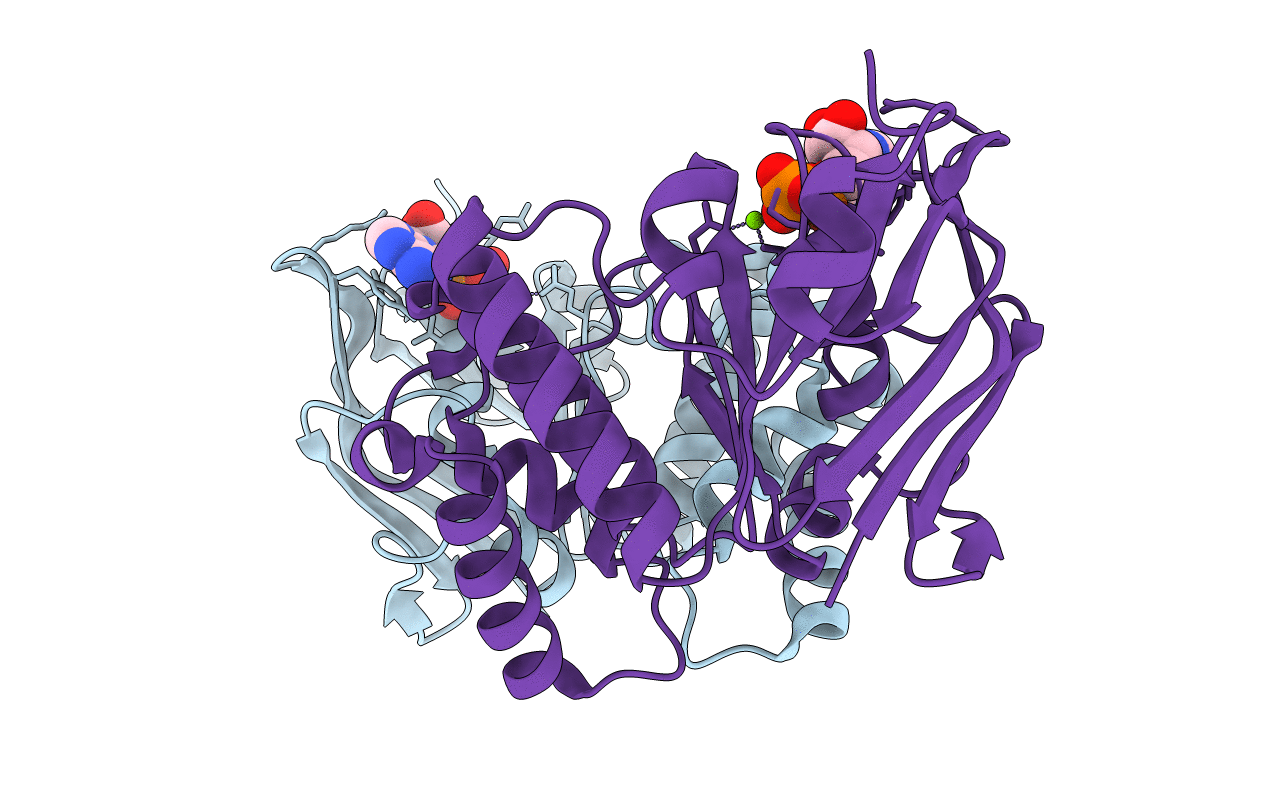 4P32 image