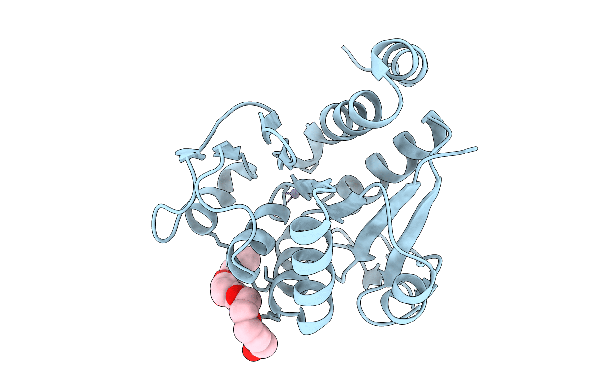 4P36 image