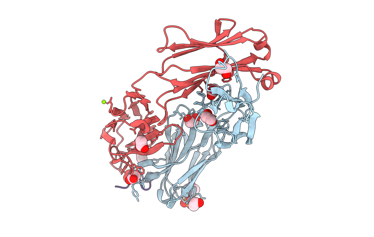 4P3C image