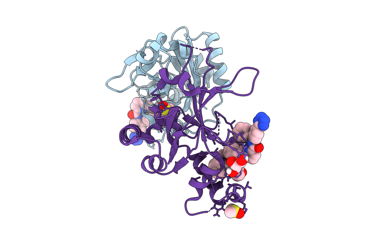 4P3H image
