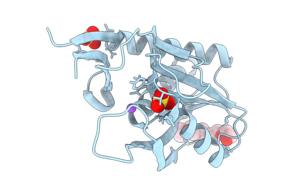 4P3K image