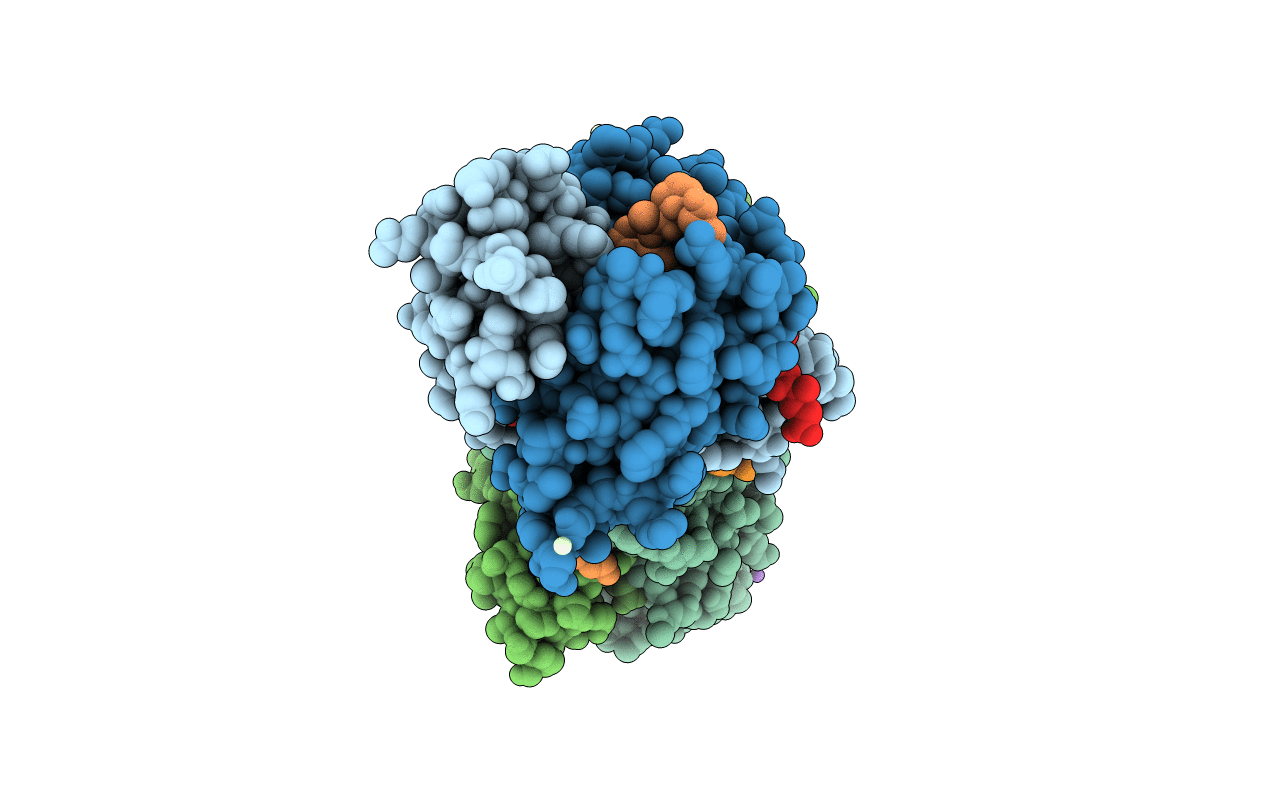 4P3W image