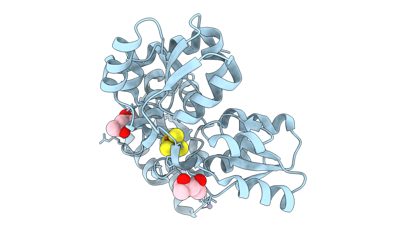 4P3X image
