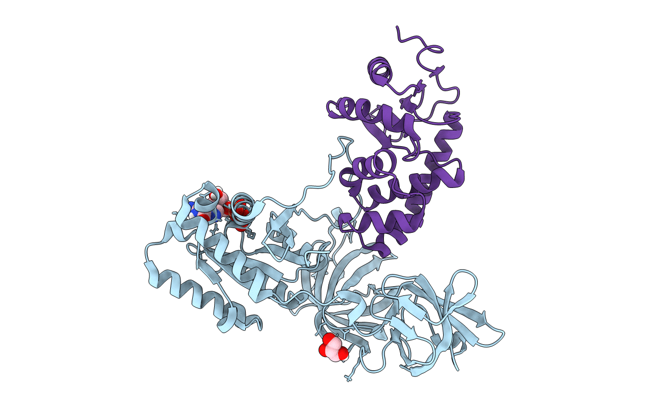 4P3Y image
