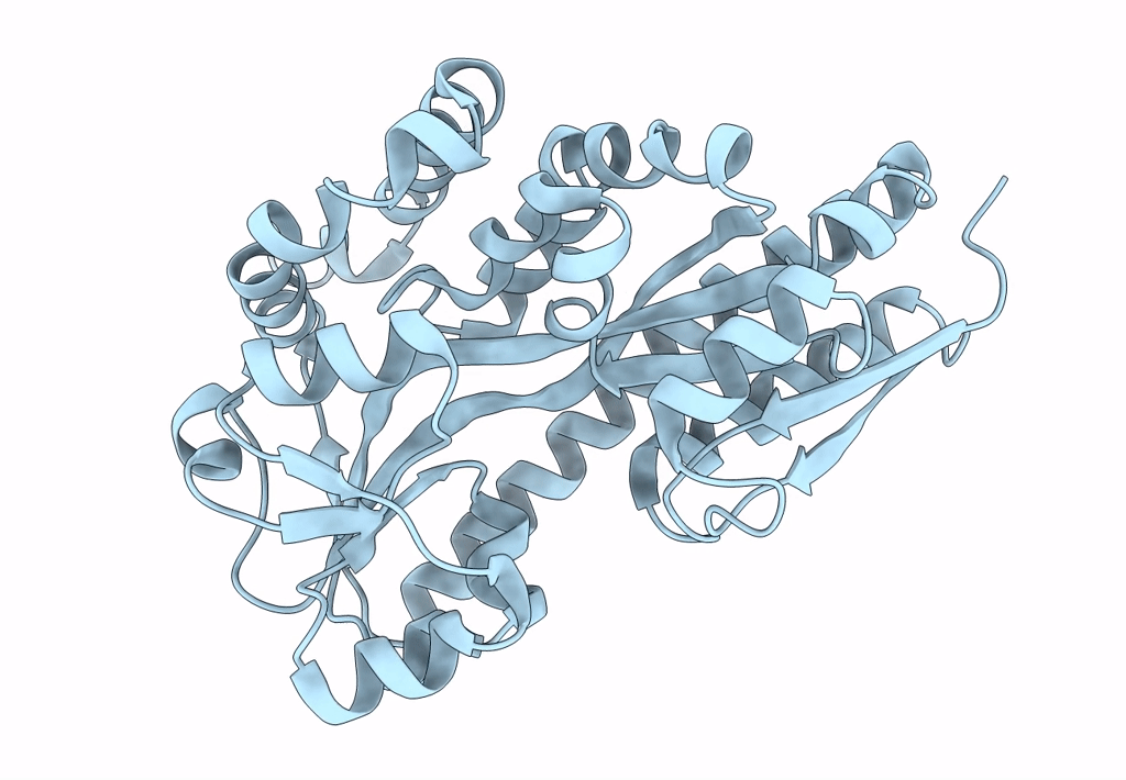 4P47 image