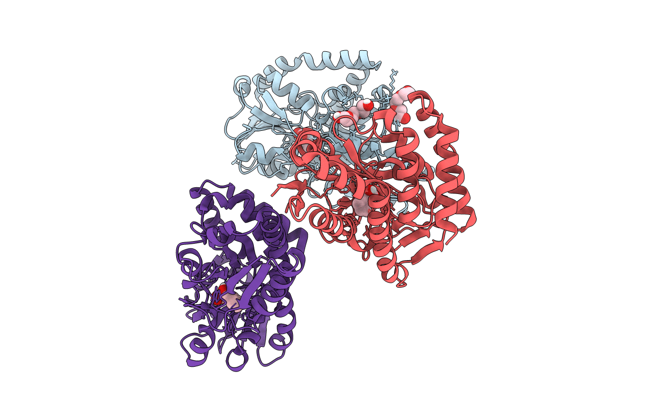 4P56 image
