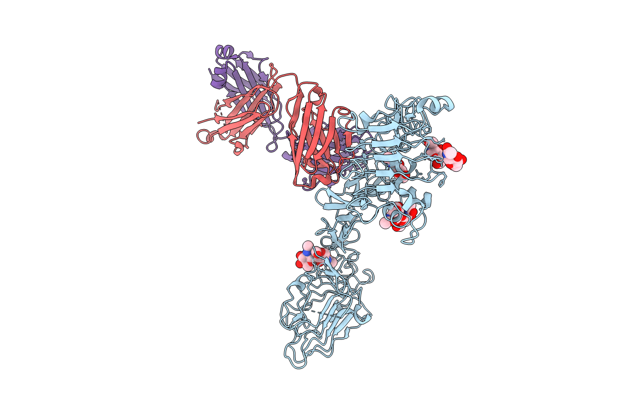 4P59 image