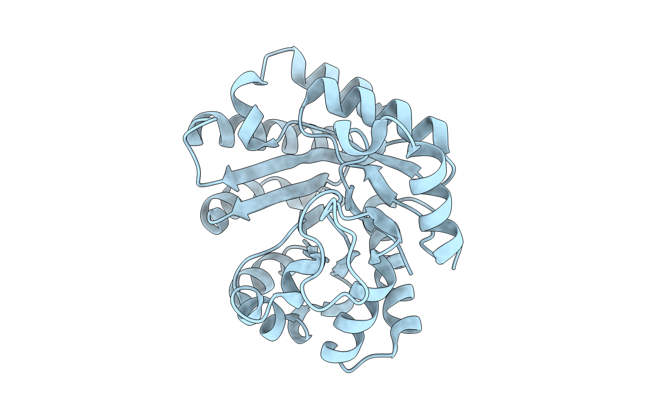 4P5U image