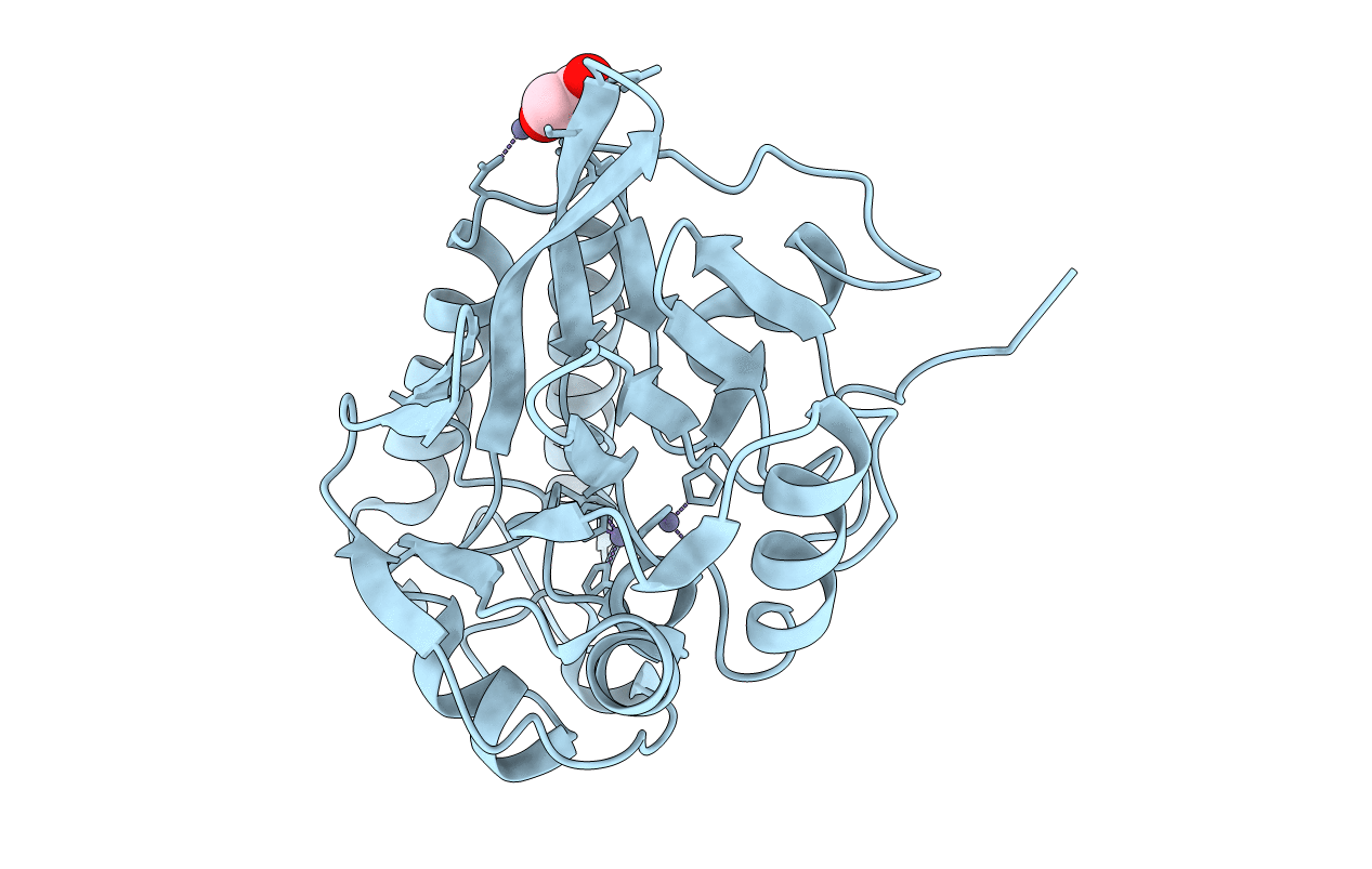 4P62 image