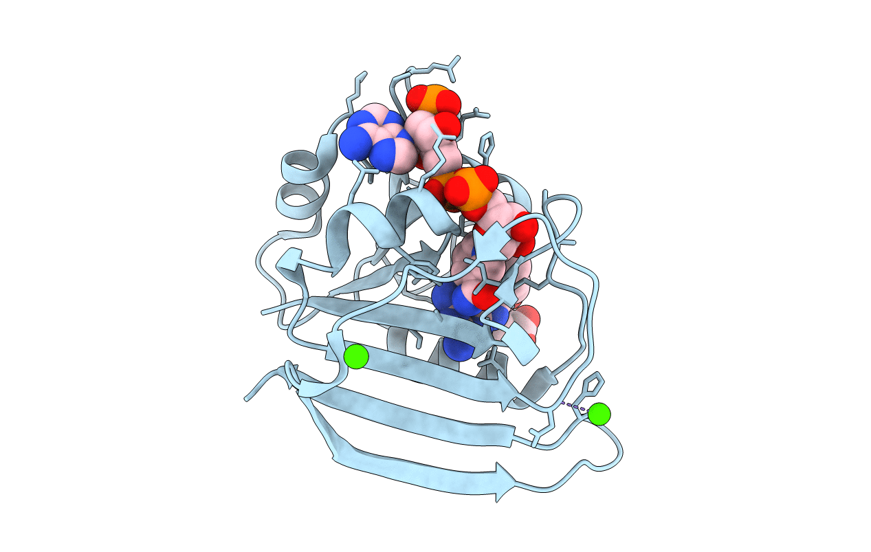 4P66 image