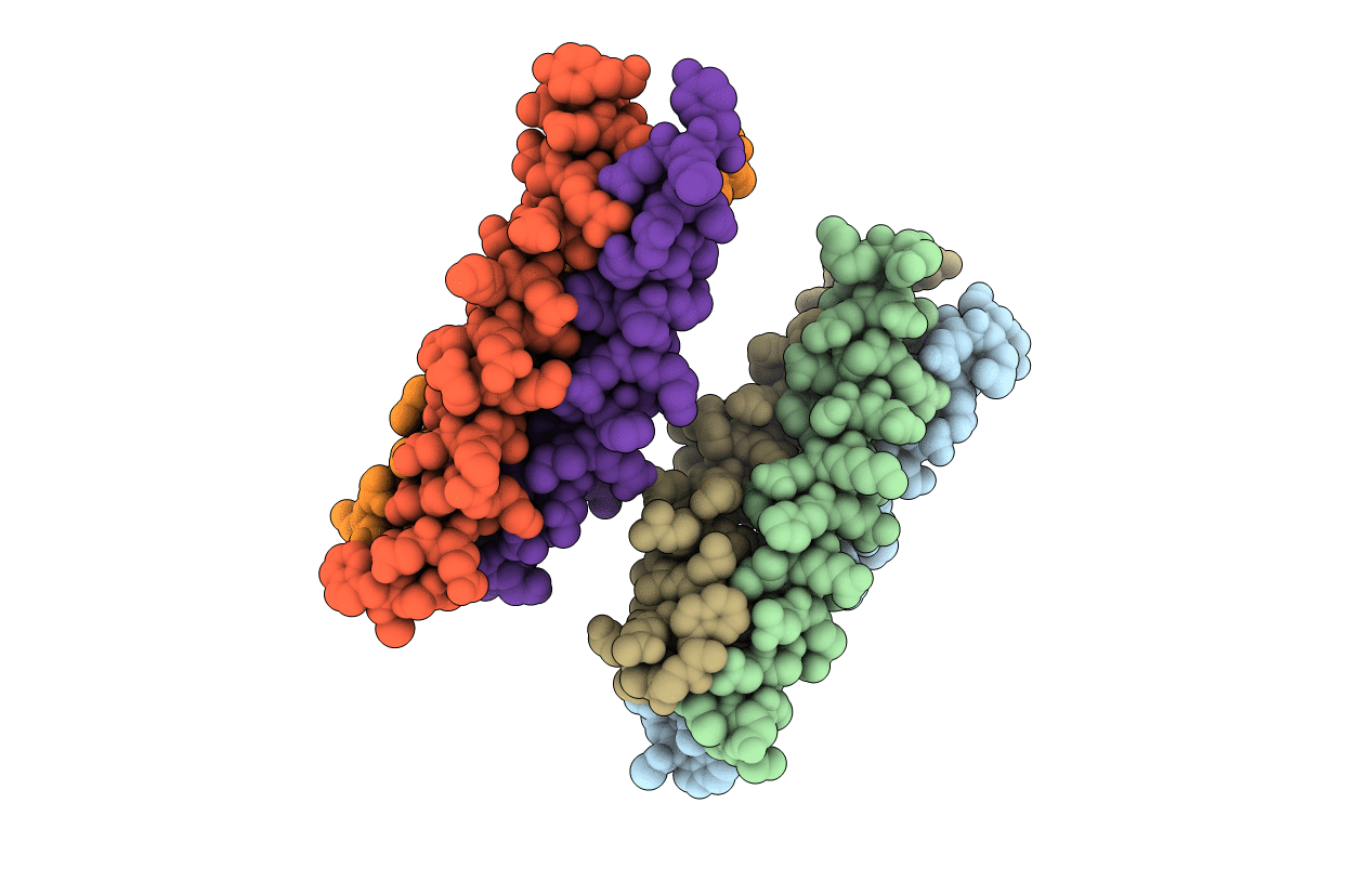 4P67 image