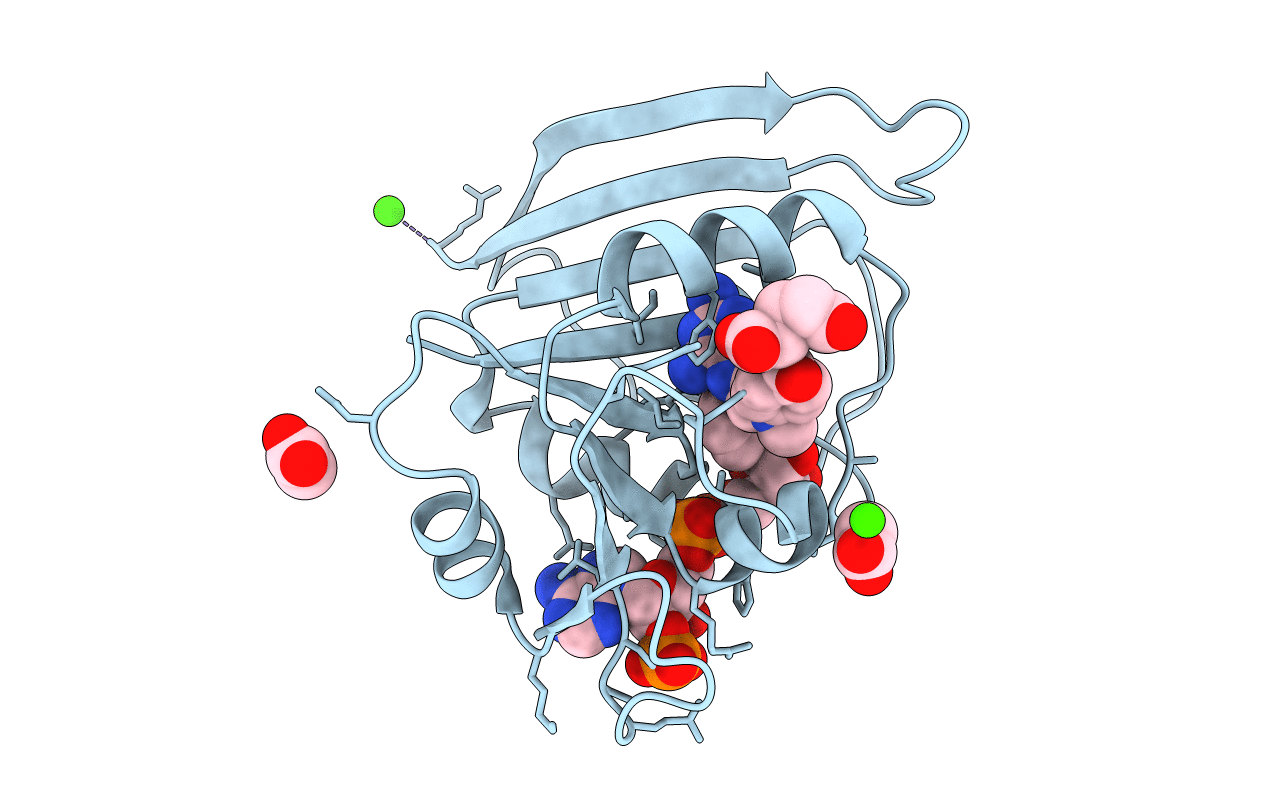 4P68 image
