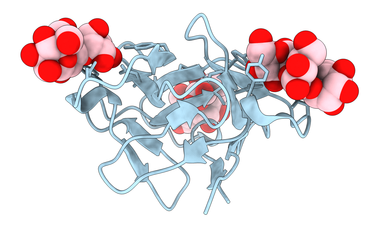 4P6A image