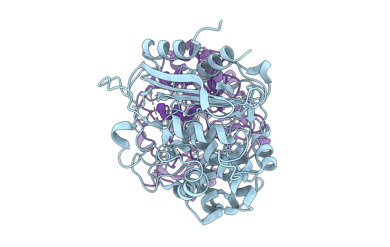 4P6B image