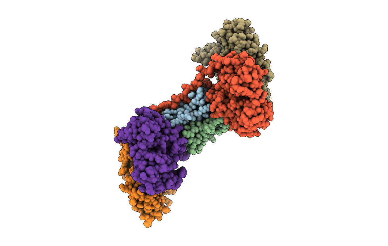4P6I image