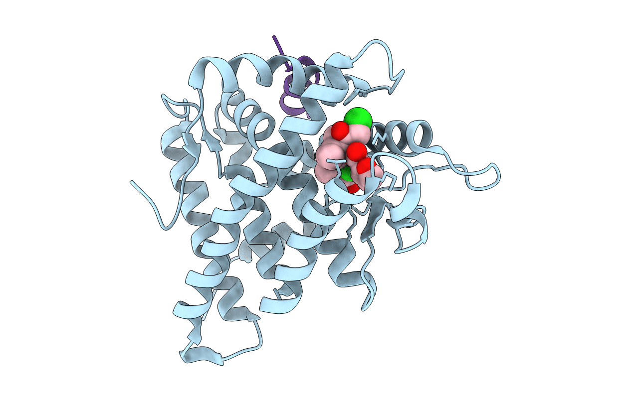 4P6W image