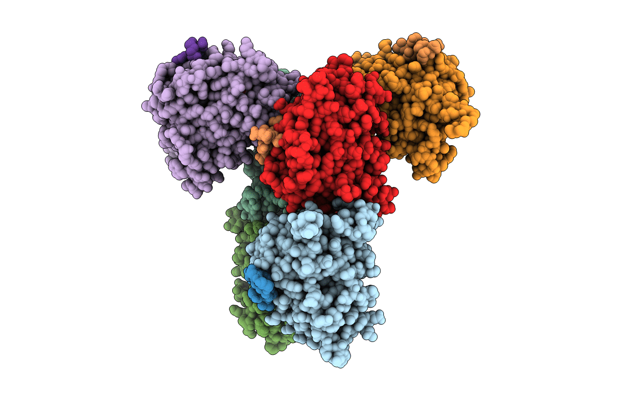 4P6X image