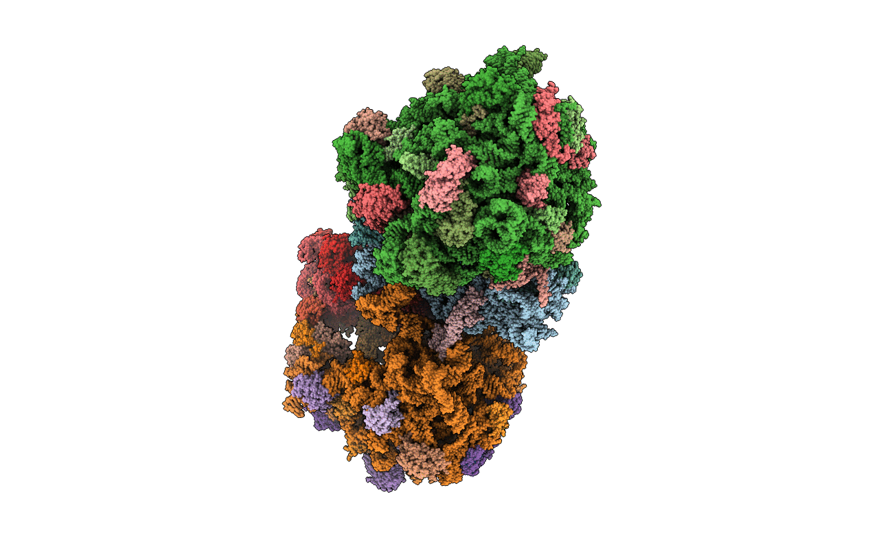 4P70 image