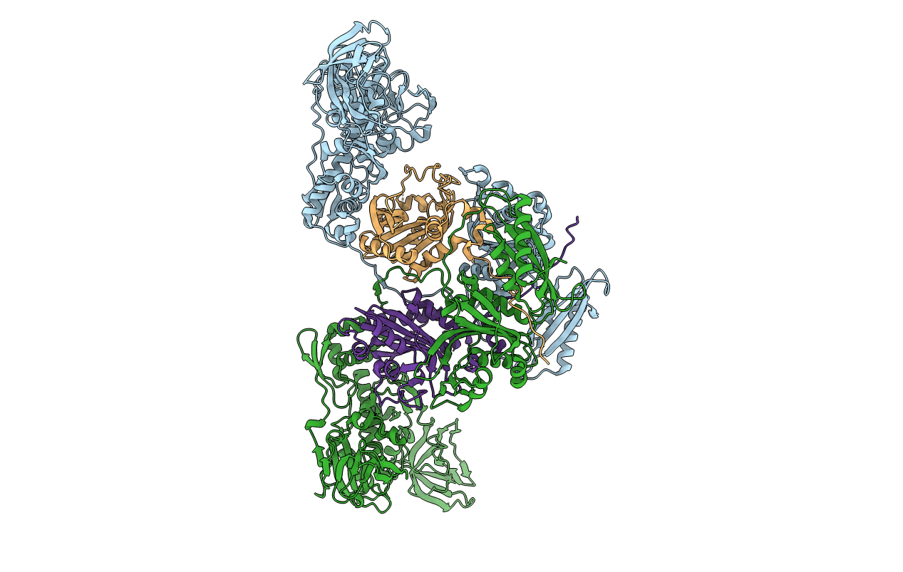 4P71 image