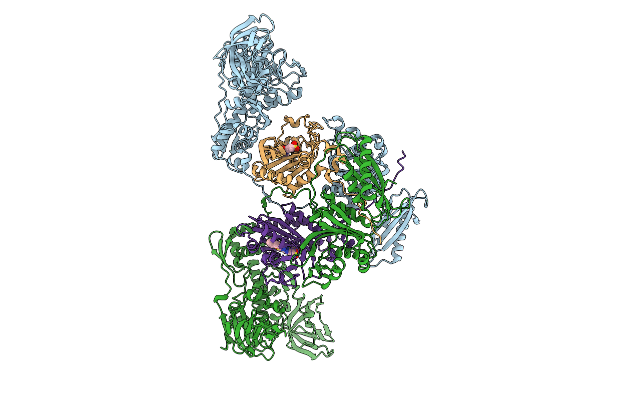 4P74 image