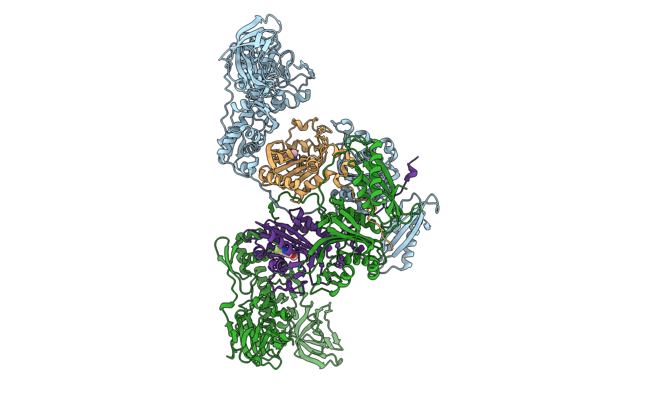 4P75 image
