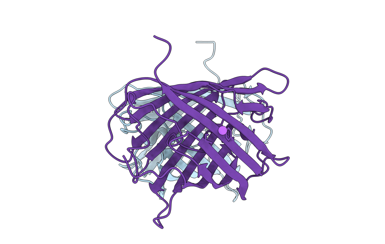 4P76 image