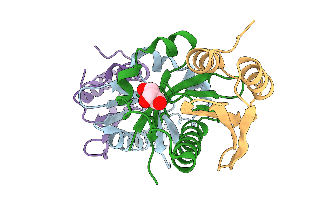 4P78 image