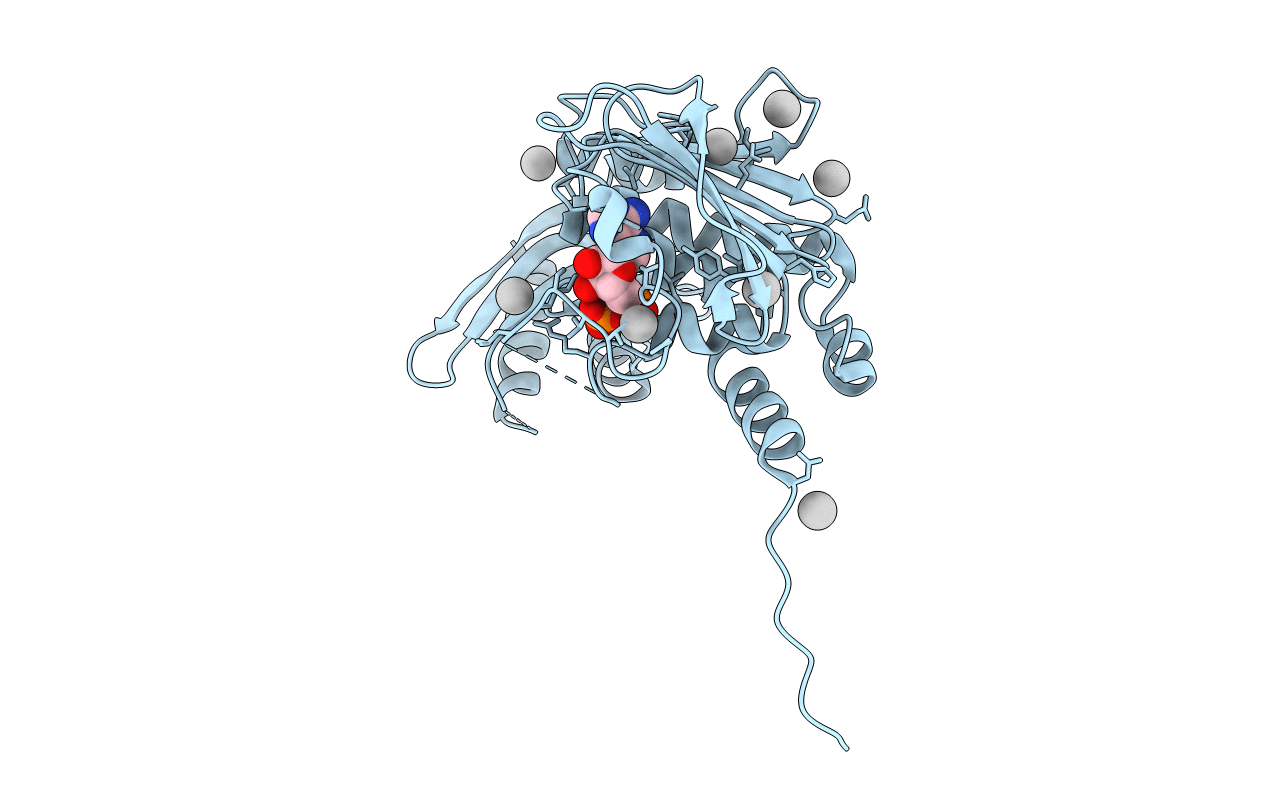 4P7A image