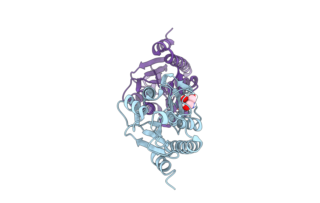 4P7B image