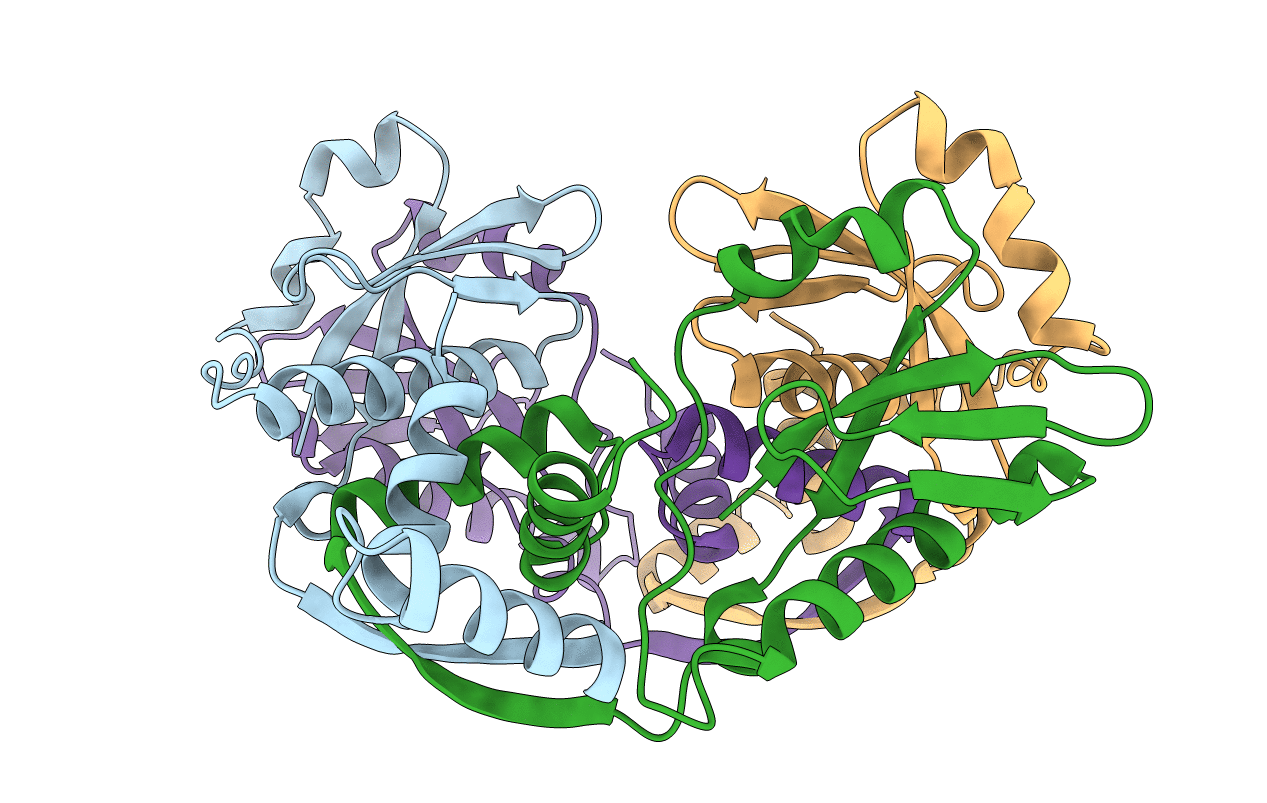 4p7d image