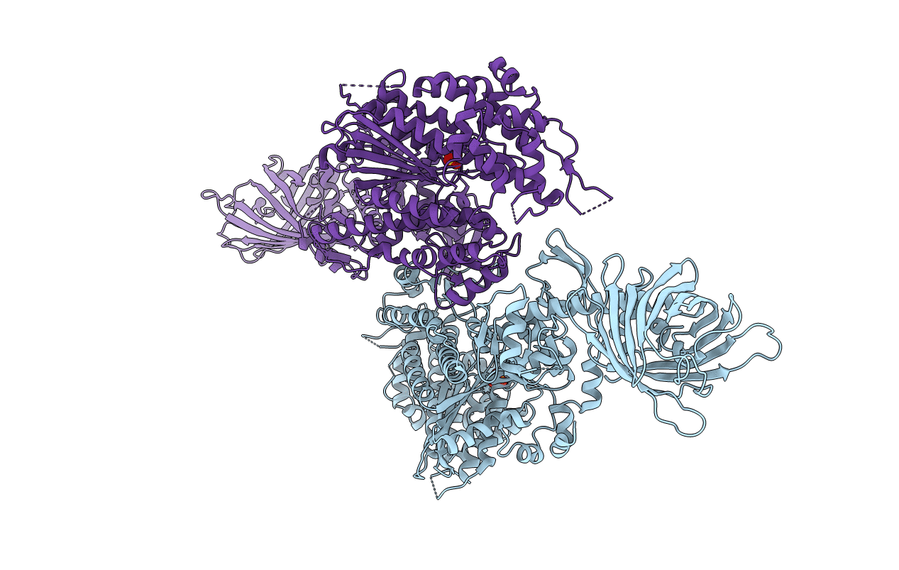 4P7H image