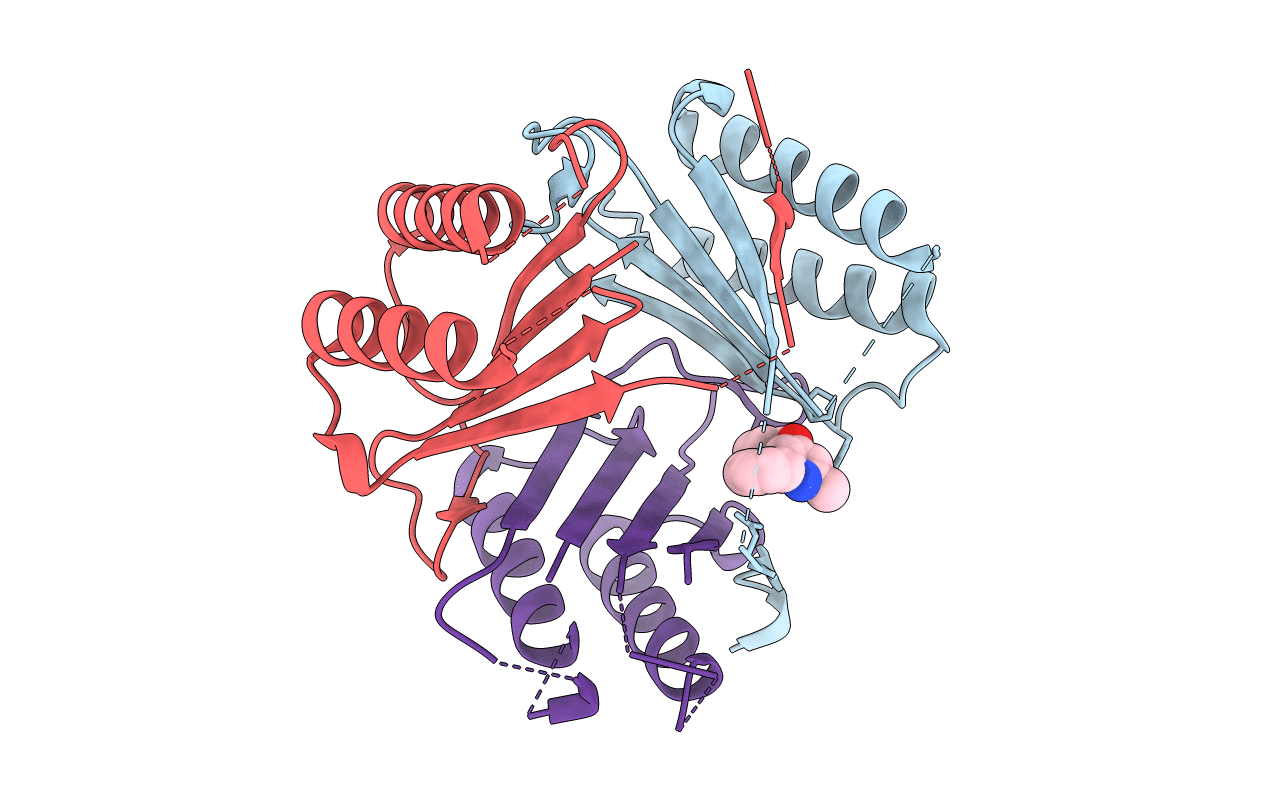 4P7M image