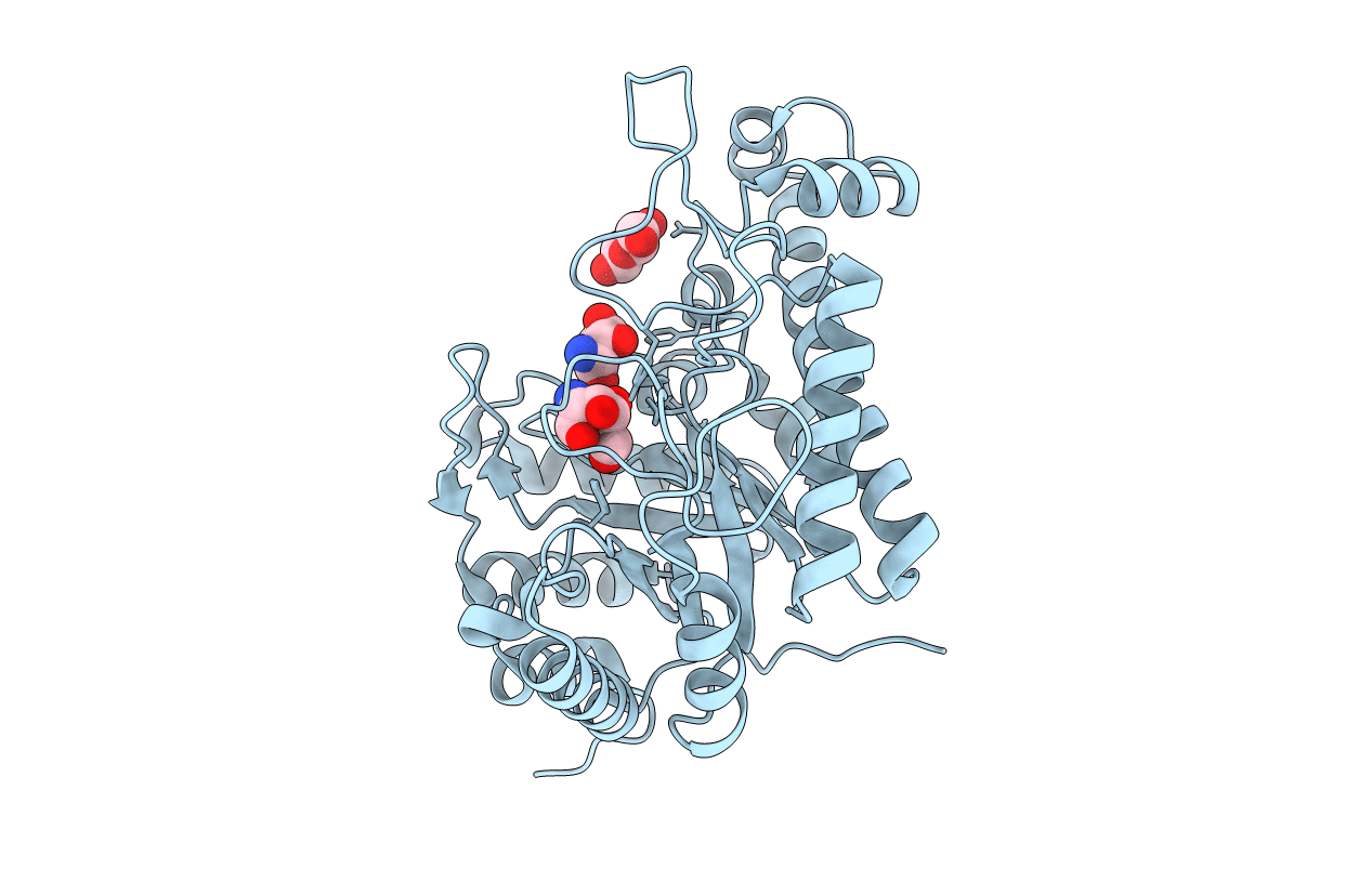 4P7N image