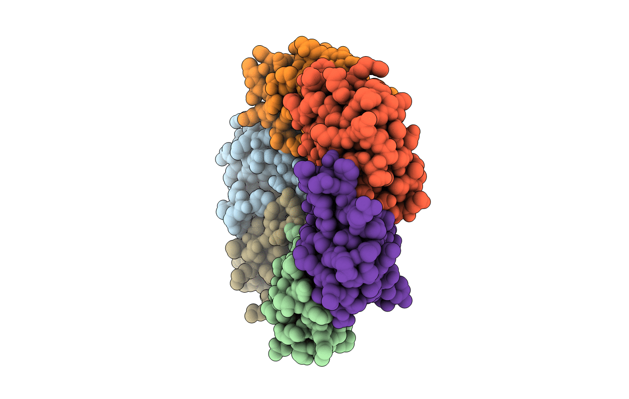 4P7T image