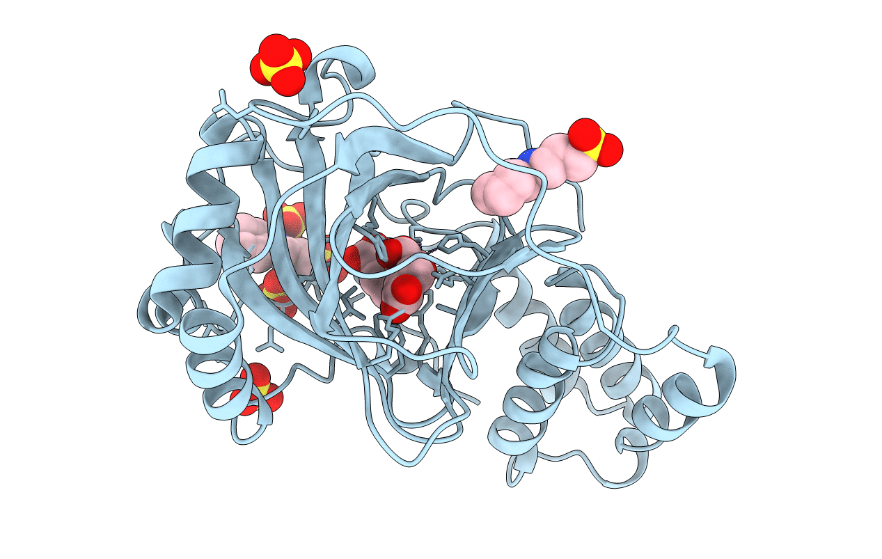 4P7X image