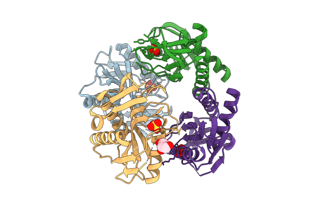 4P81 image