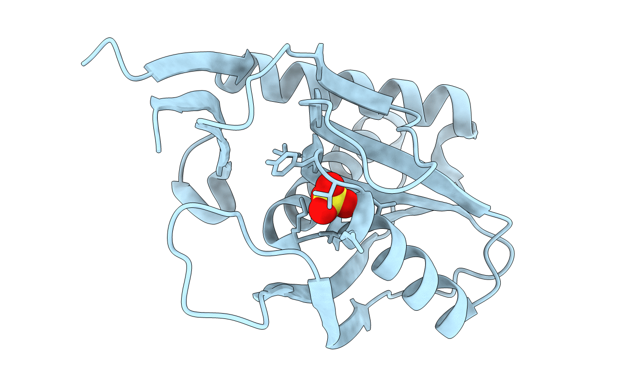 4p82 image