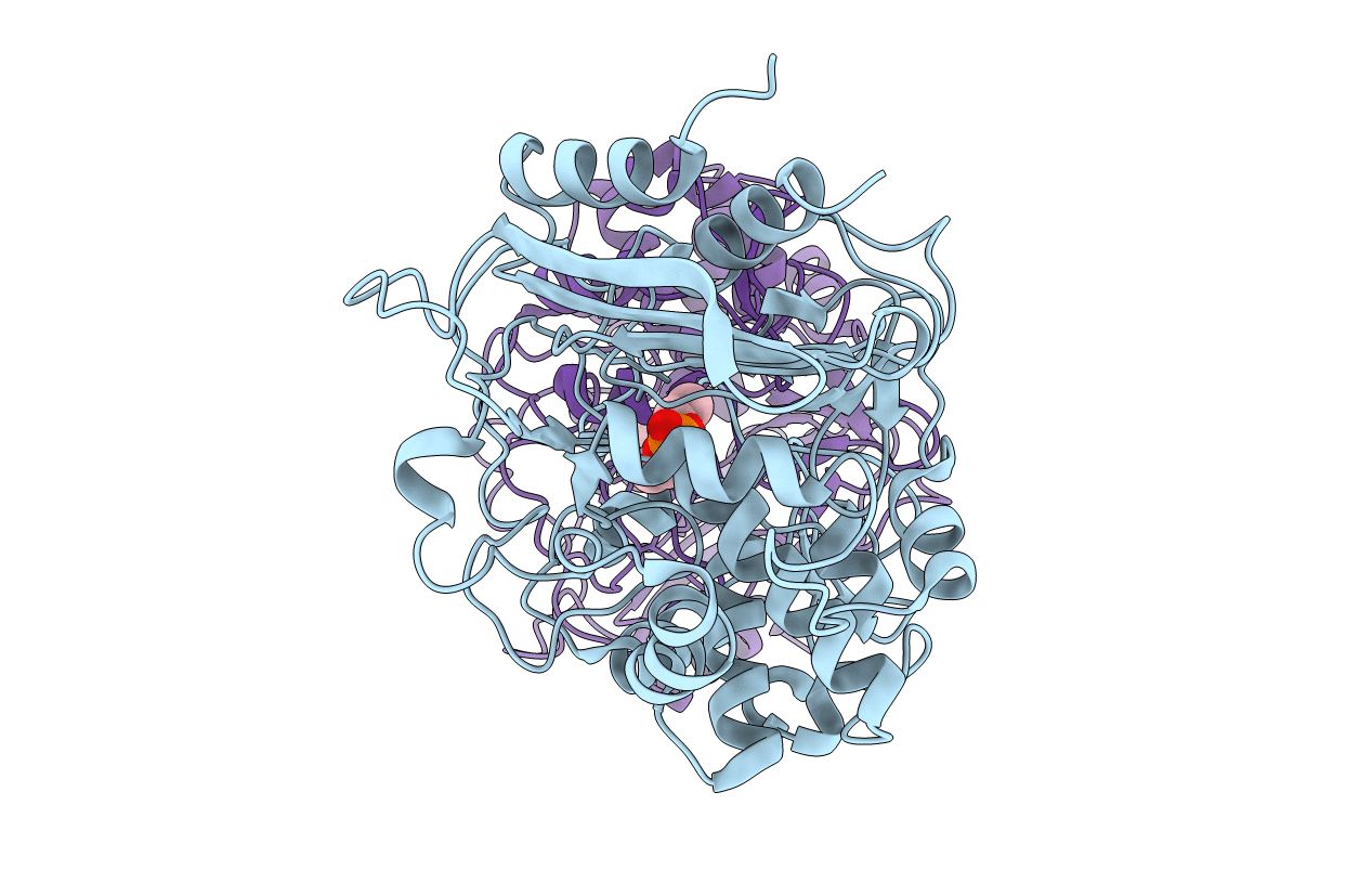 4P85 image