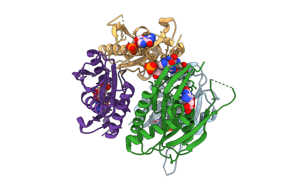 4p86 image