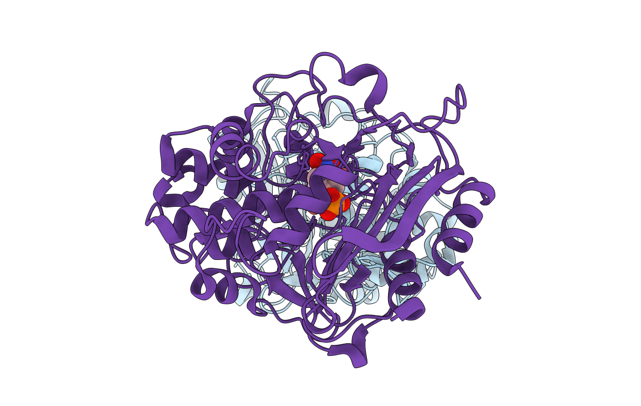 4P87 image