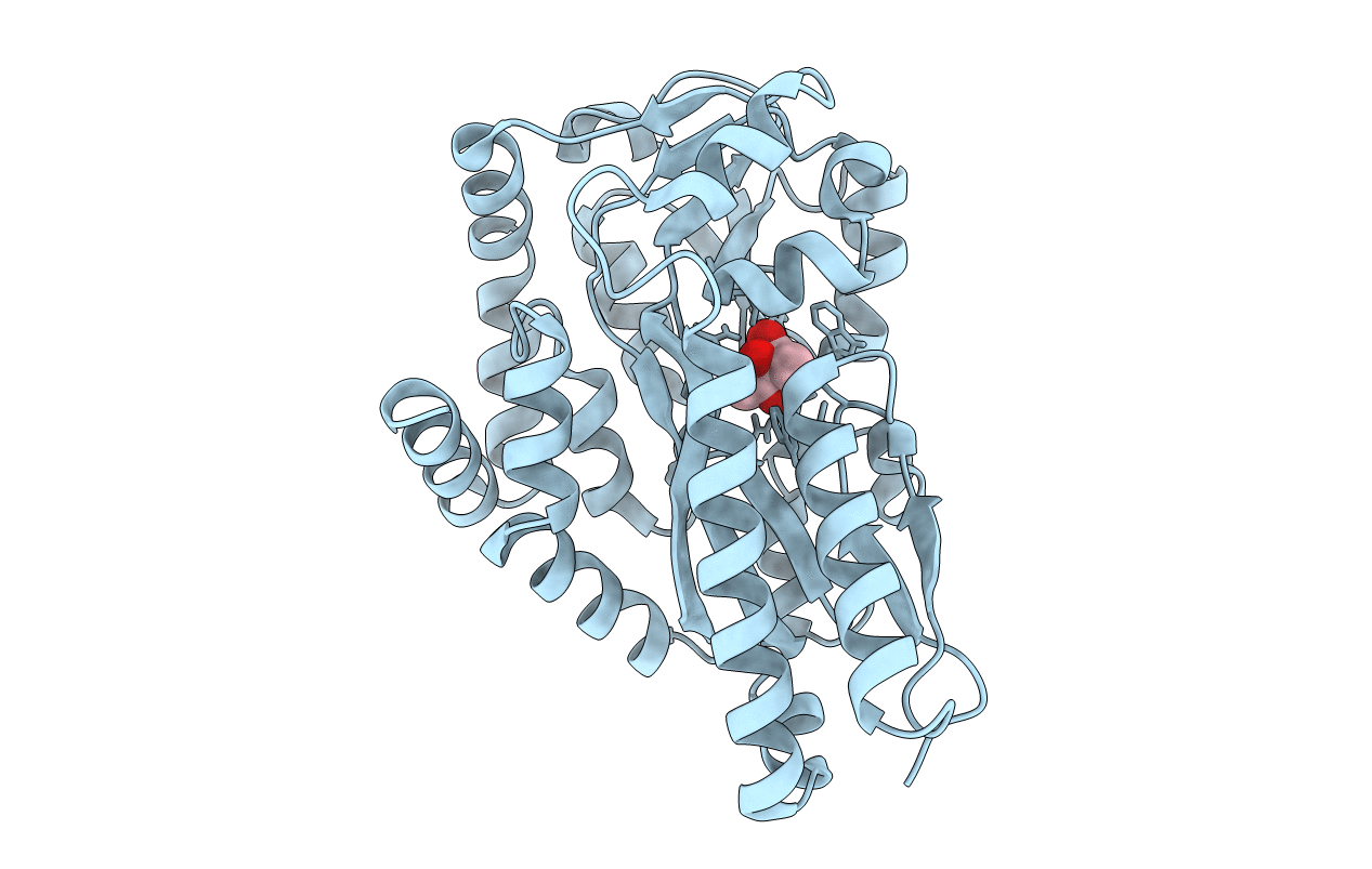 4P8B image
