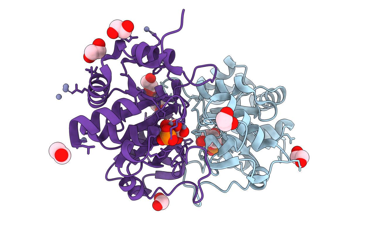 4P8E image