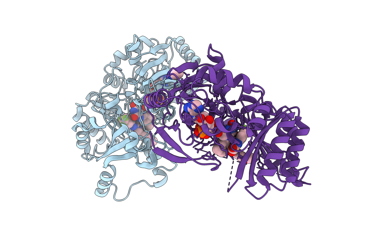 4P8N image