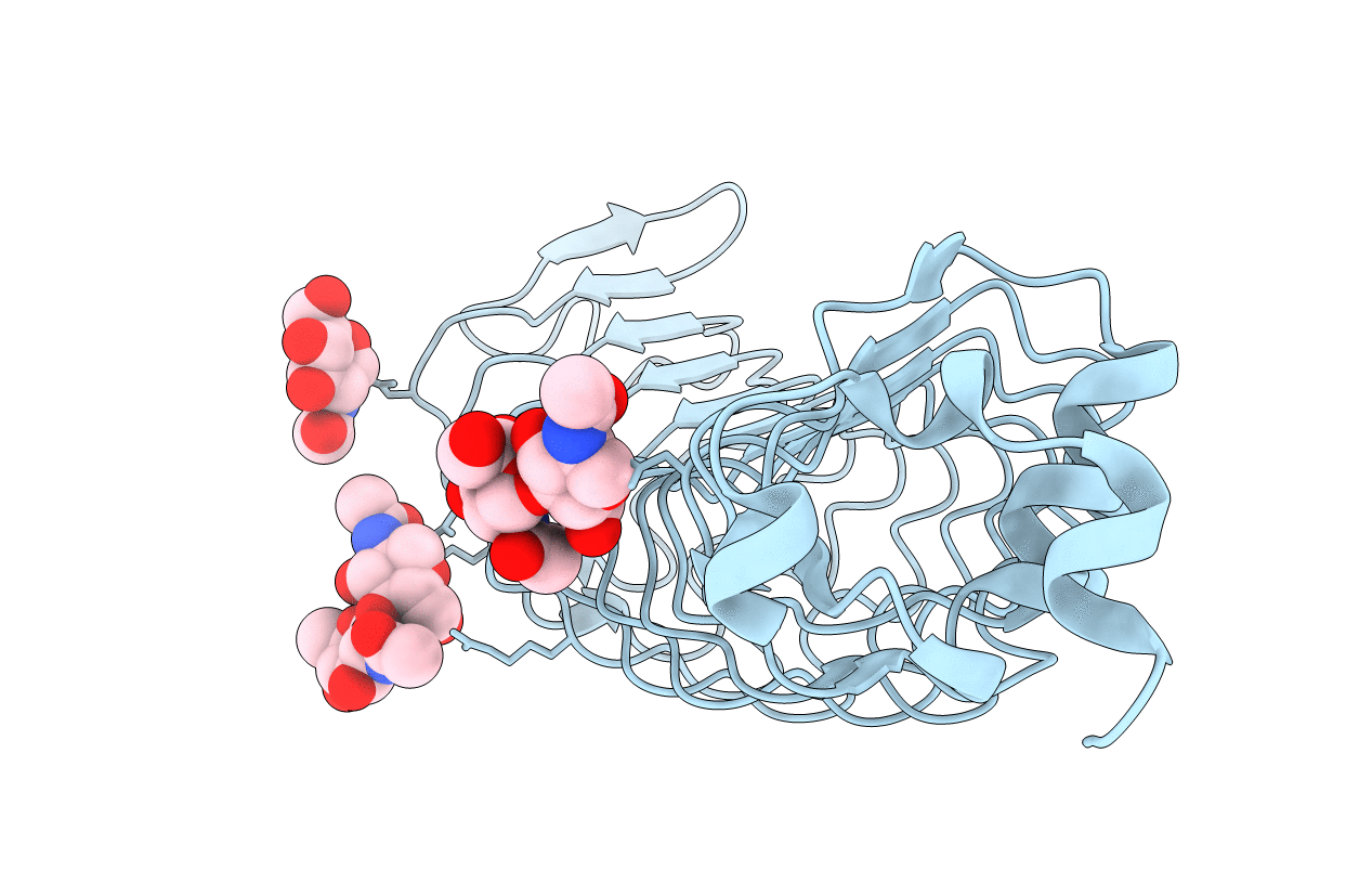 4P8S image
