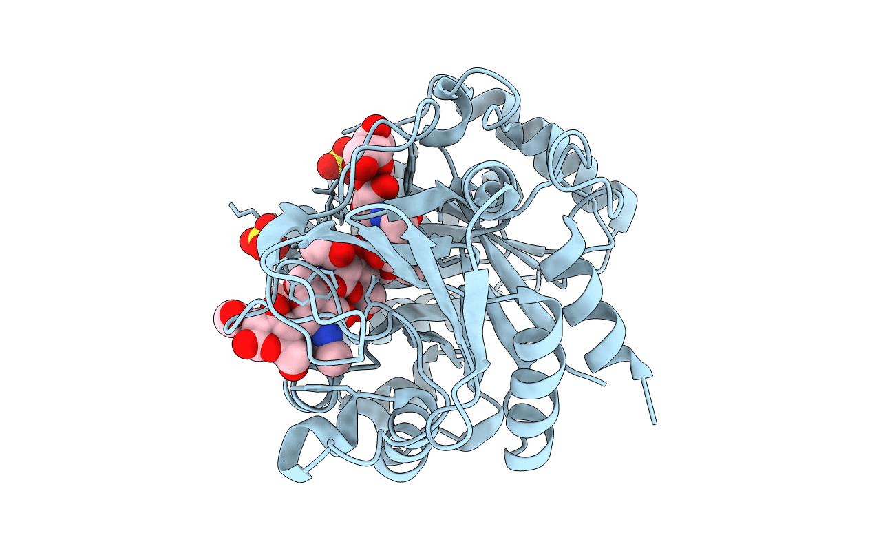 4P8X image