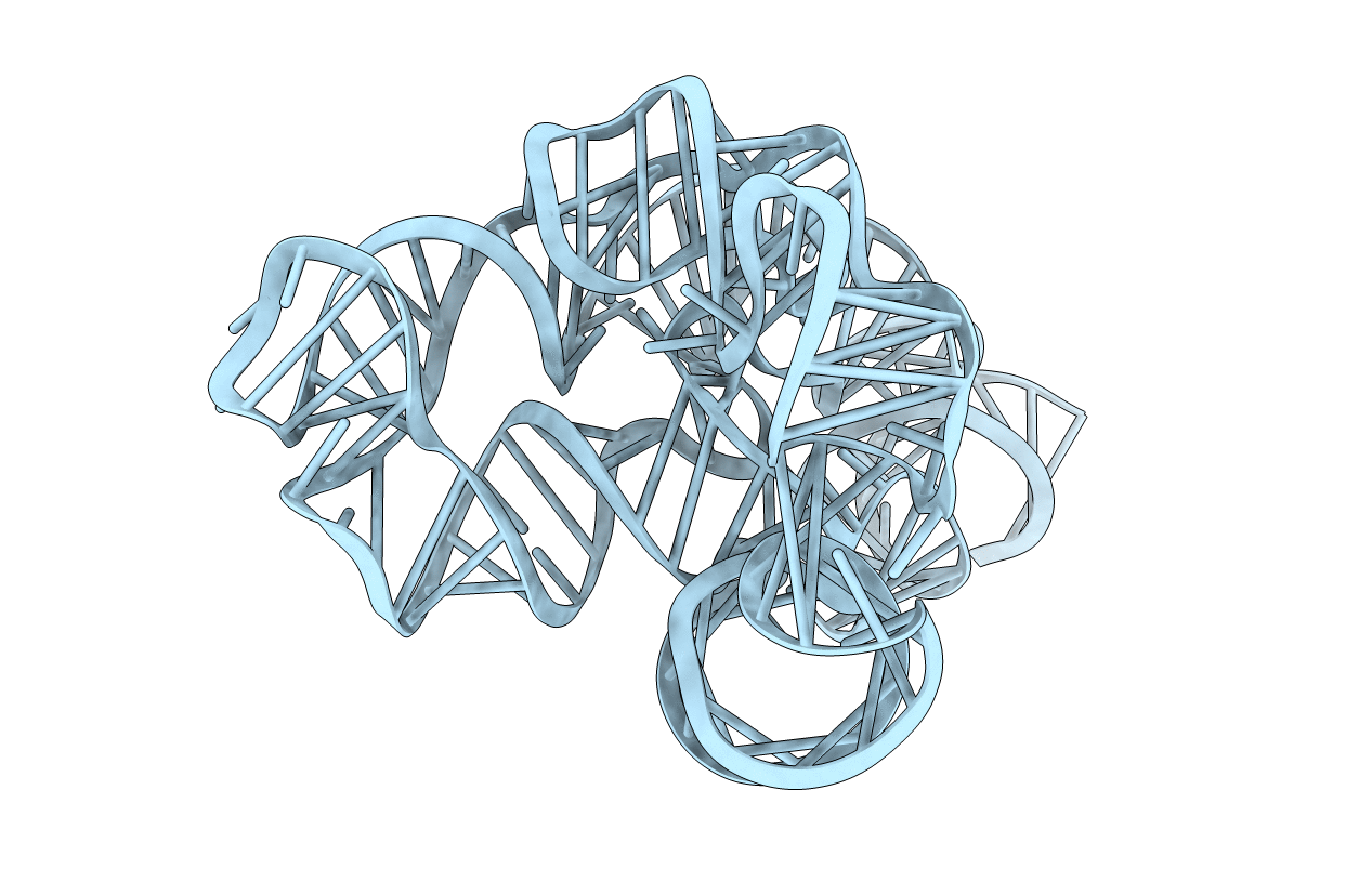 4P8Z image