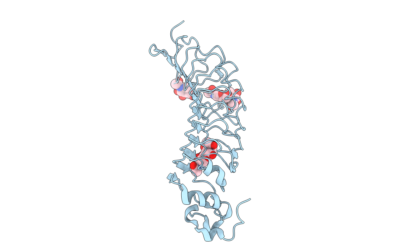 4P91 image