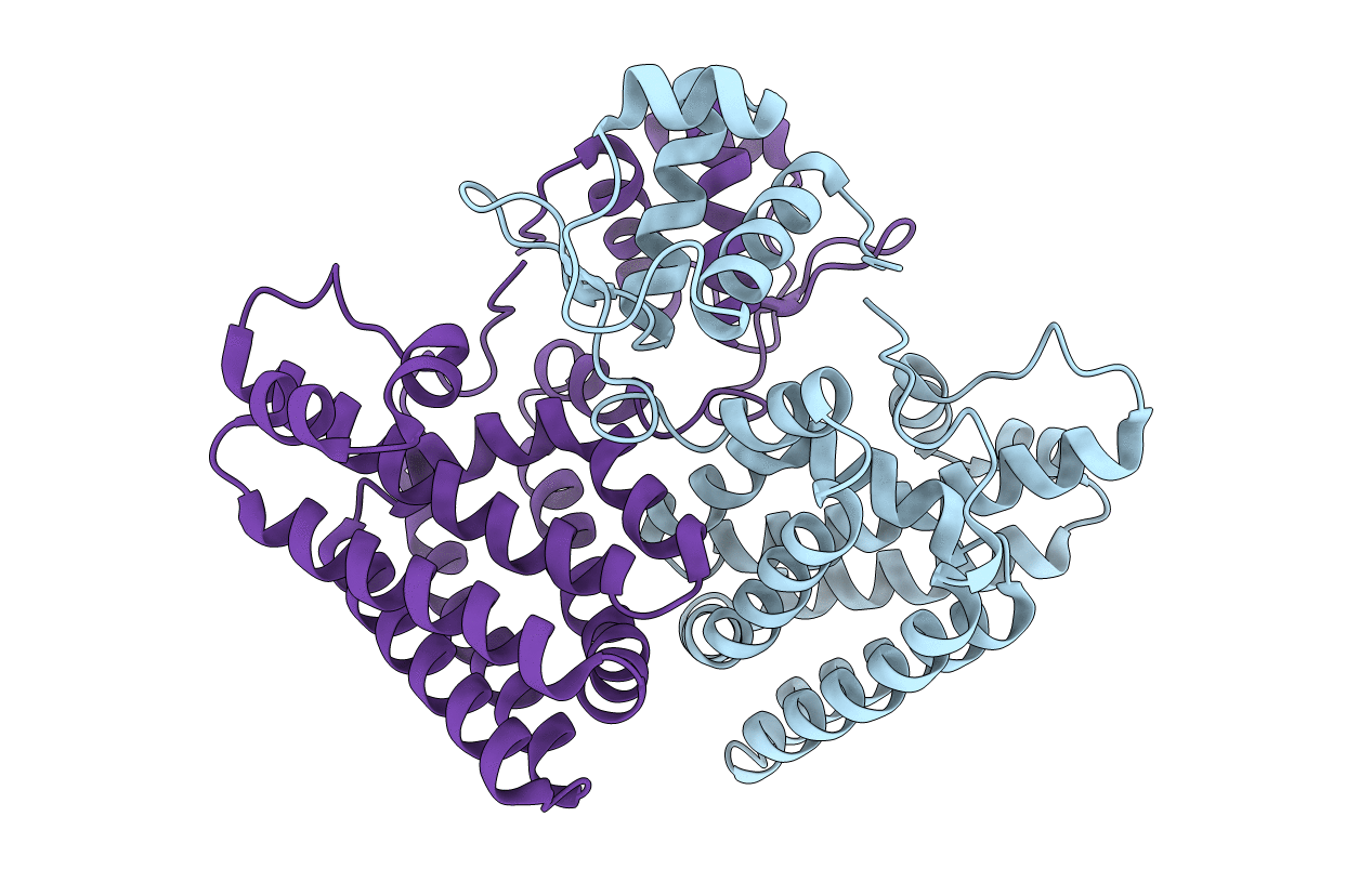 4P96 image